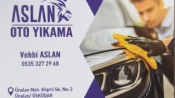 ASLAN OTO YIKAMA