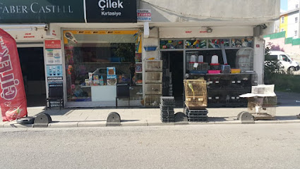 Murat Akvaryum Petshop SuLtanbeyLi