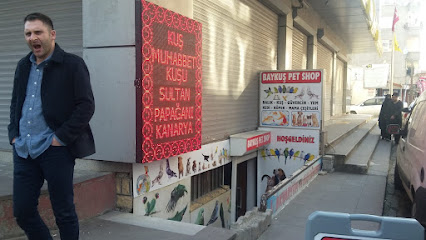 Sultanbeylipetshop