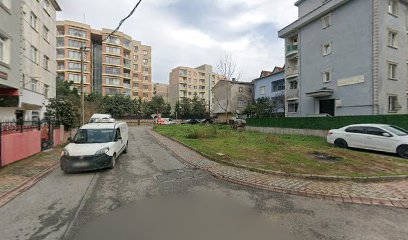 Volt Elektrik
